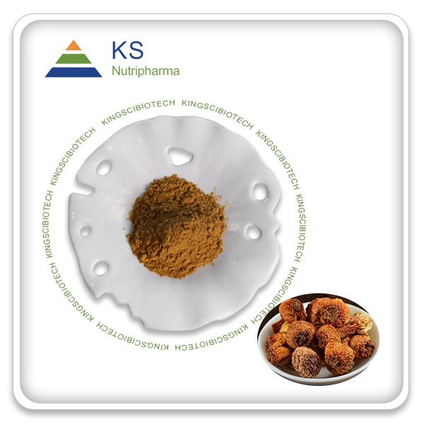 Agaricus blazei sēņu ekstrakta pulveris