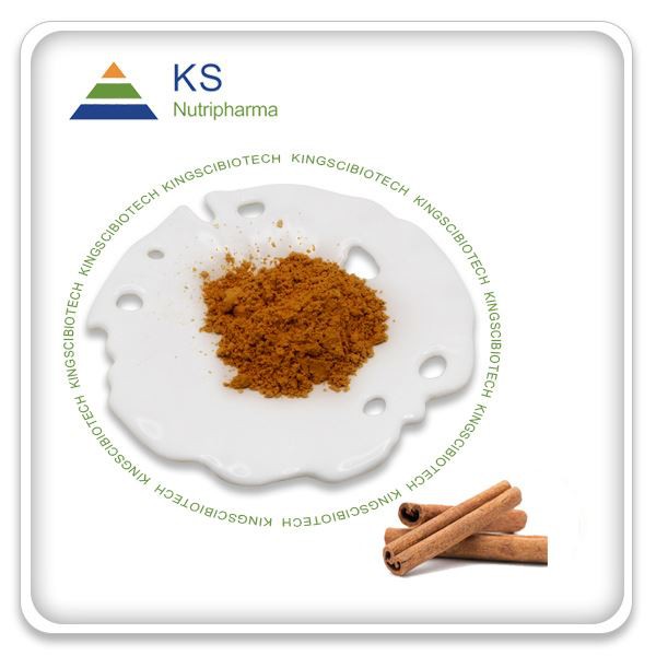 Kanēļa mizas ekstrakta pulveris