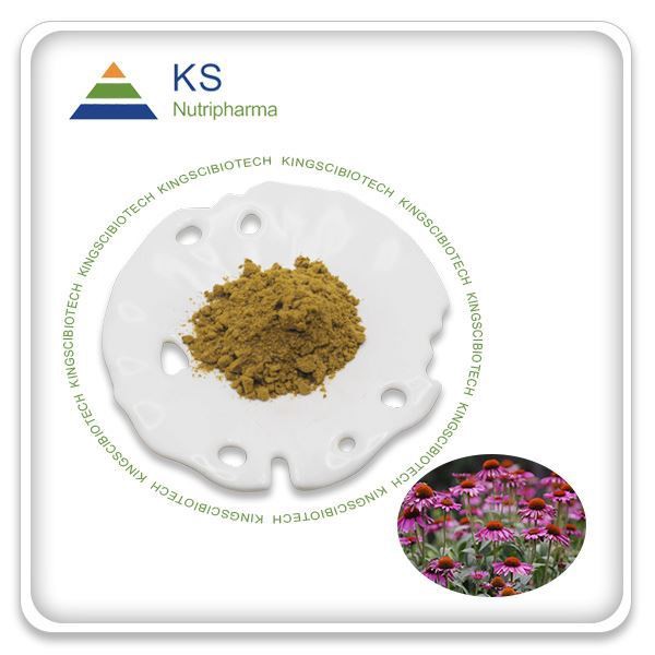 Echinacea purpurea sakņu ekstrakts