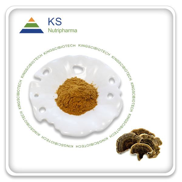 Trametas Versicolor ekstrakts