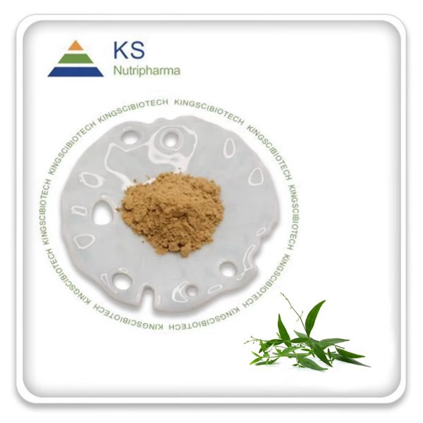 Andrographis Paniculata pulveris